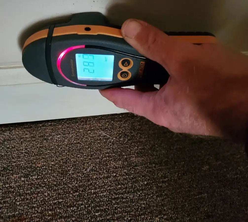 Moisture detection at baseboard during Mold Inspection & Testing in Brandon